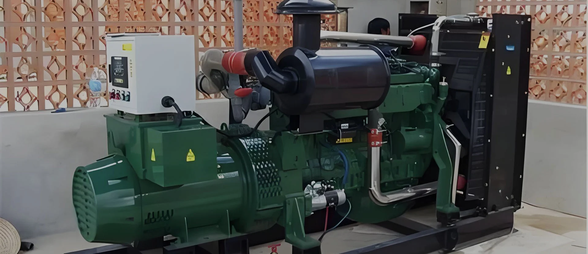 Producent af biogasgenerator